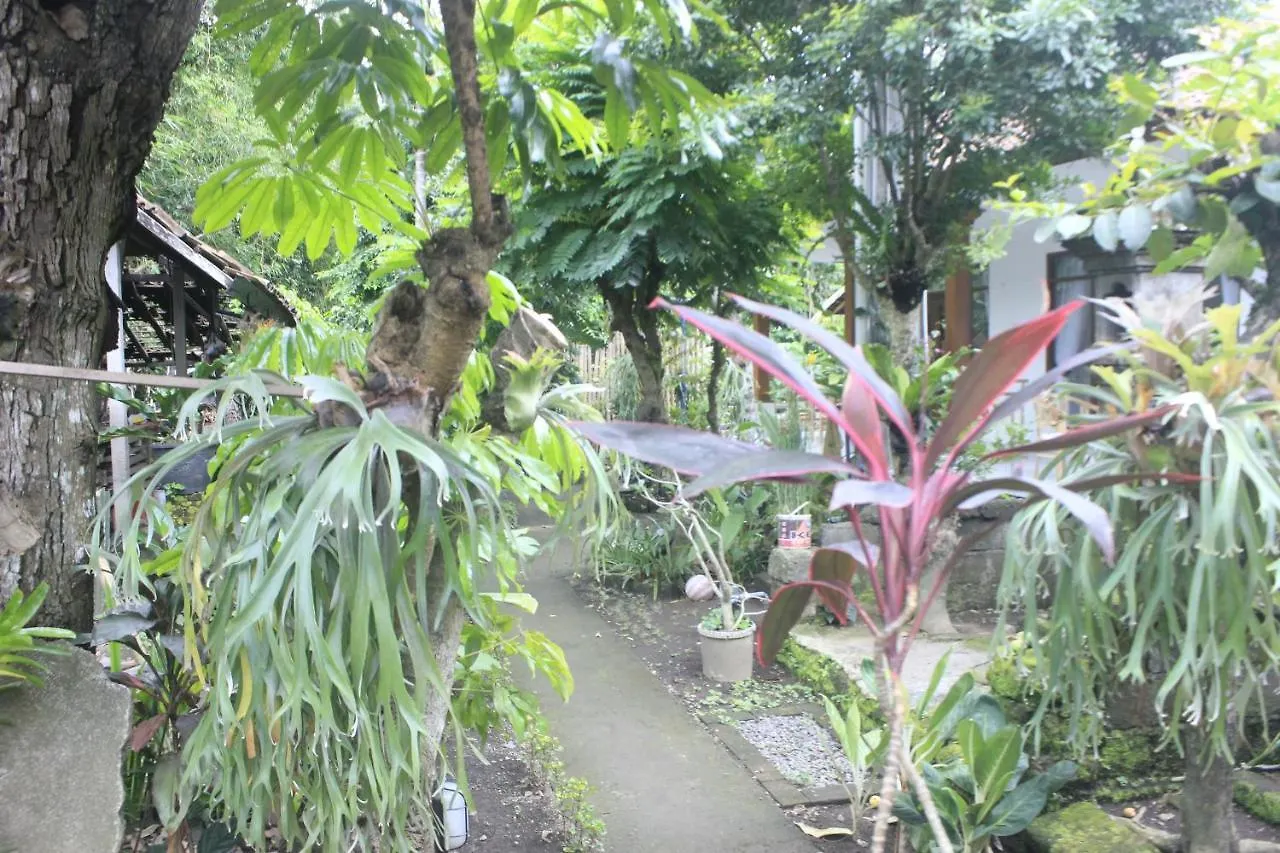 Séjour chez l'habitant Umah De Arlika Ubud